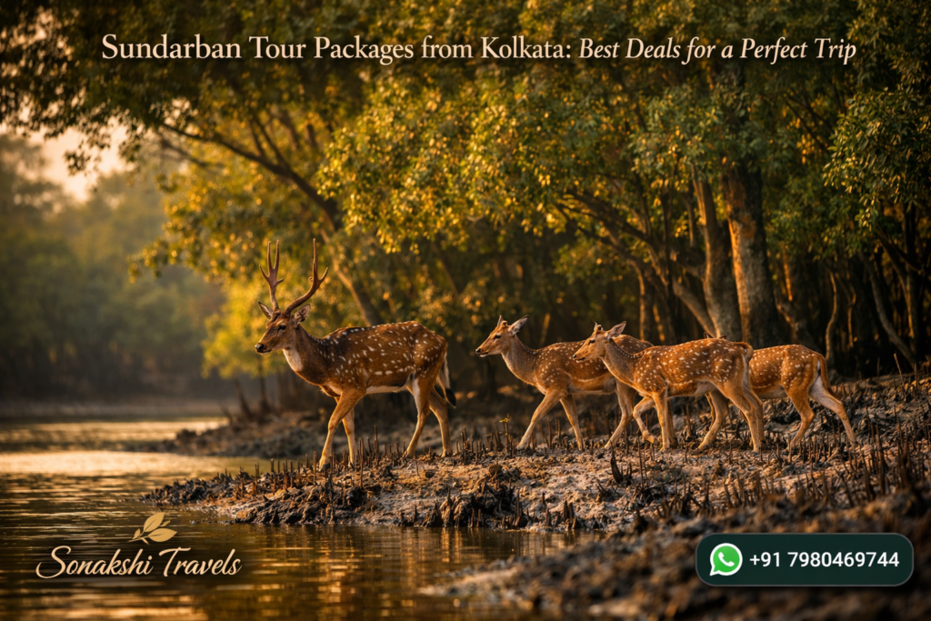 Sundarban Tour Packages from Kolkata: Best Deals for a Perfect Trip