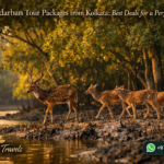 Sundarban Tour Packages from Kolkata: Best Deals for a Perfect Trip