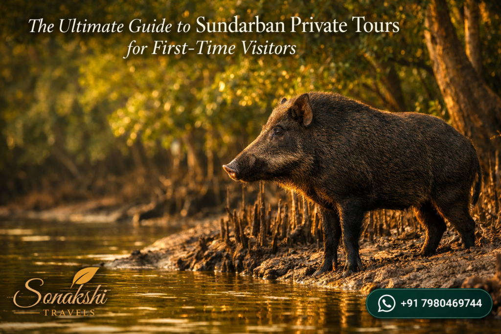 The Ultimate Guide to Sundarban Private Tours for First-Time Visitors
