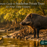 The Ultimate Guide to Sundarban Private Tours for First-Time Visitors