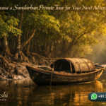 Why Choose a Sundarban Private Tour for Your Next Adventure?