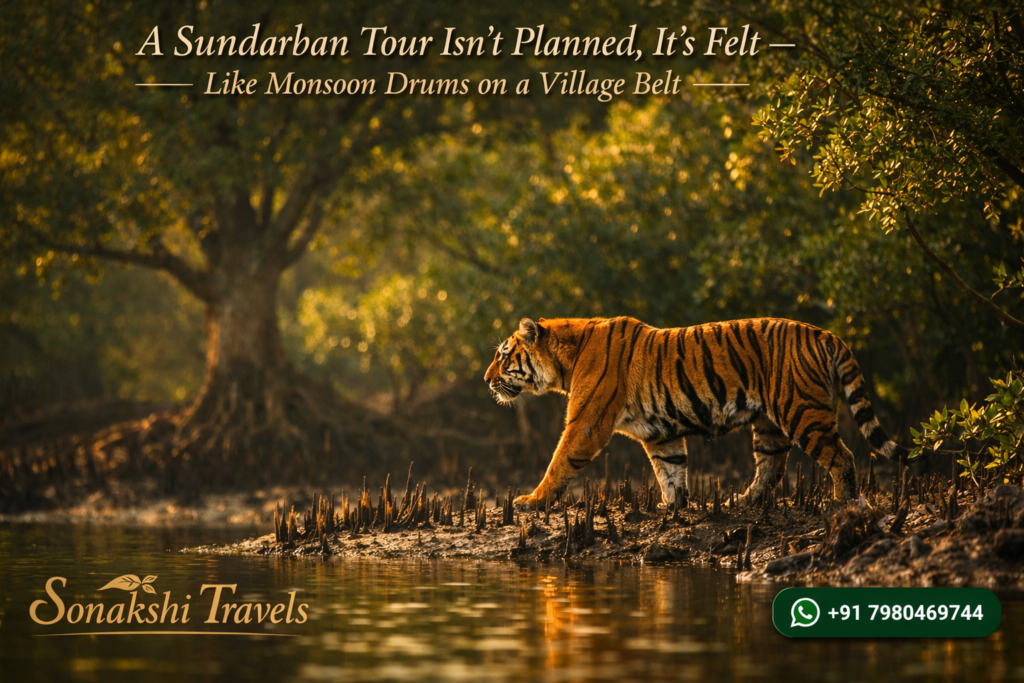 A Sundarban Tour Isn’t Planned, It’s Felt - Like Monsoon Drums on a Village Belt