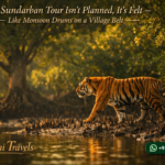 A Sundarban Tour Isn’t Planned, It’s Felt - Like Monsoon Drums on a Village Belt