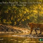 In Luxury Boats on Honeyed Tide - Sundarban Luxury Tour Package Is Your Dreamy Ride
