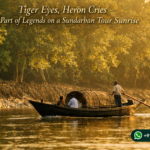 Tiger Eyes, Heron Cries - Be Part of Legends on a Sundarban Tour Sunrise
