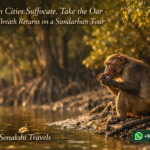 When Cities Suffocate, Take the Oar - Your Breath Returns on a Sundarban Tour