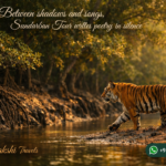 Between shadows and songs, Sundarban Tour writes poetry in silence