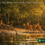 Drift Where Tides Whisper Secrets with the 1 Night 2 Days Sundarban Tour Package