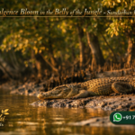 Let Indulgence Bloom in the Belly of the Jungle - Sundarban Luxury Tour