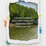 Let your heartbeat dance with mangroves