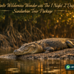 Sail into Wilderness Wonder with The 1 Night 2 Days Sundarban Tour Package