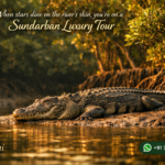 When stars dine on the river’s skin, you’re on a Sundarban Luxury Tour