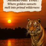 Where Golden Sunsets Melt into Primal Wilderness