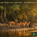 Where royal Bengal meets royal comfort - Sundarban Luxury Tour