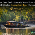 Your Soul Seeks Green It Never Knew - Until It Sails a Sundarban Tour Through