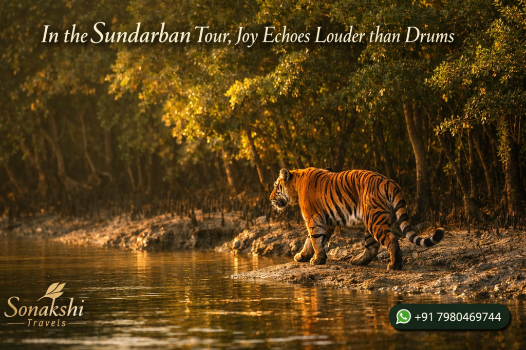 In the Sundarban Tour, Joy Echoes Louder than Drums