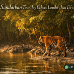 In the Sundarban Tour, Joy Echoes Louder than Drums