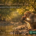 Indulgence Floats with Every Tide —Experience It on a Sundarban Tour