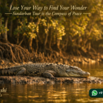 Lose Your Way to Find Your Wonder —Sundarban Tour is the Compass of Peace