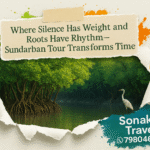 Sundarban Tour Transforms Time