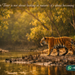 Sundarban Tour is not about looking at nature—it’s about becoming part of it