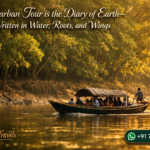 Sundarban Tour is the Diary of Earth—Written in Water, Roots, and Wings