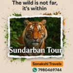 Sundarban Tour simply reminds you