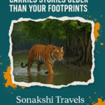 The Sundarban Tour Carries Stories