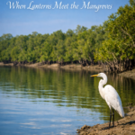 The Sundarban Tour Glitters When Lanterns Meet the Mangroves
