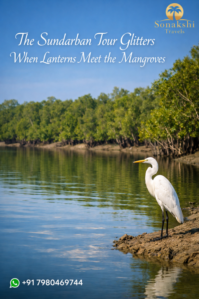 The Sundarban Tour Glitters When Lanterns Meet the Mangroves