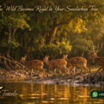 The Wild Becomes Regal in Your Sundarban Tour