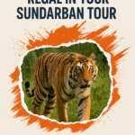 The Wild Becomes Regal in Your Sundarban Tour