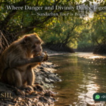 Where Danger and Divinity Dance Together —Sundarban Tour is Born