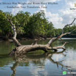 Where Silence Has Weight and Roots Have Rhythm—Sundarban Tour Transforms Time