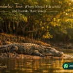 Sundarban Tour: Where Silence Has a Soul and Forests Have Voices