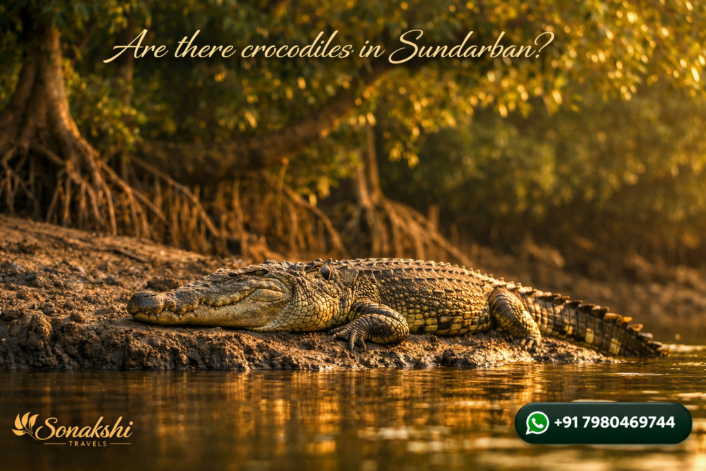 Are there crocodiles in Sundarban?