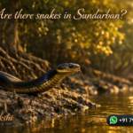 Are there snakes in Sundarban