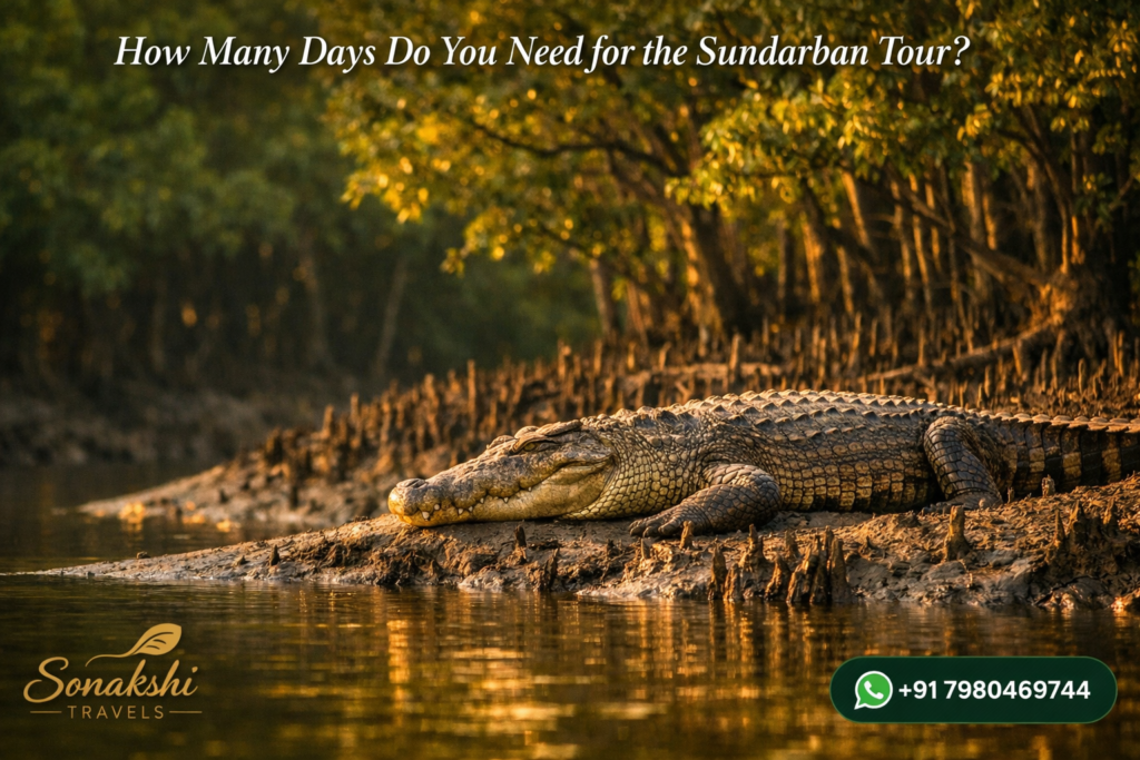 How Many Days Do You Need for the Sundarban Tour?