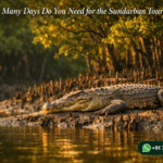 How Many Days Do You Need for the Sundarban Tour?