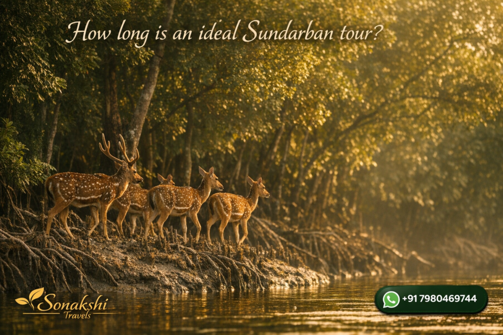 How long is an ideal Sundarban tour