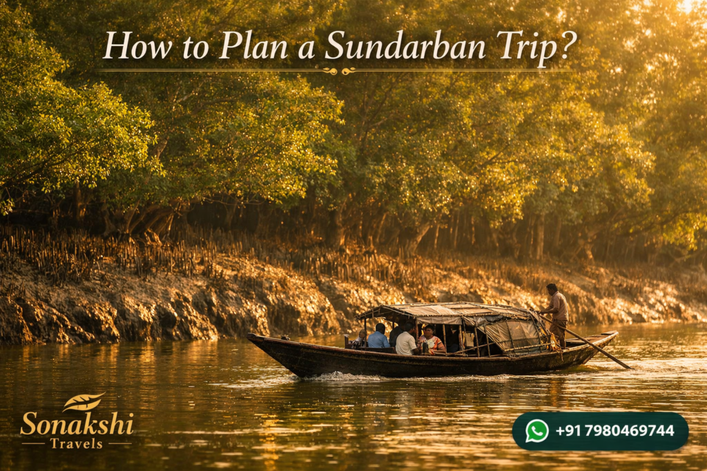 How to Plan a Sundarban Trip