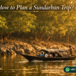 How to Plan a Sundarban Trip