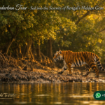 Sundarban Tour- Sail into the Serenity of Bengal’s Hidden Gem