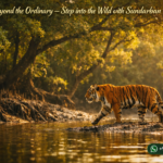Travel Beyond the Ordinary — Step into the Wild with Sundarban Tour