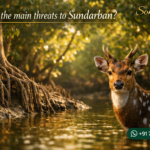 What are the main threats to Sundarban?
