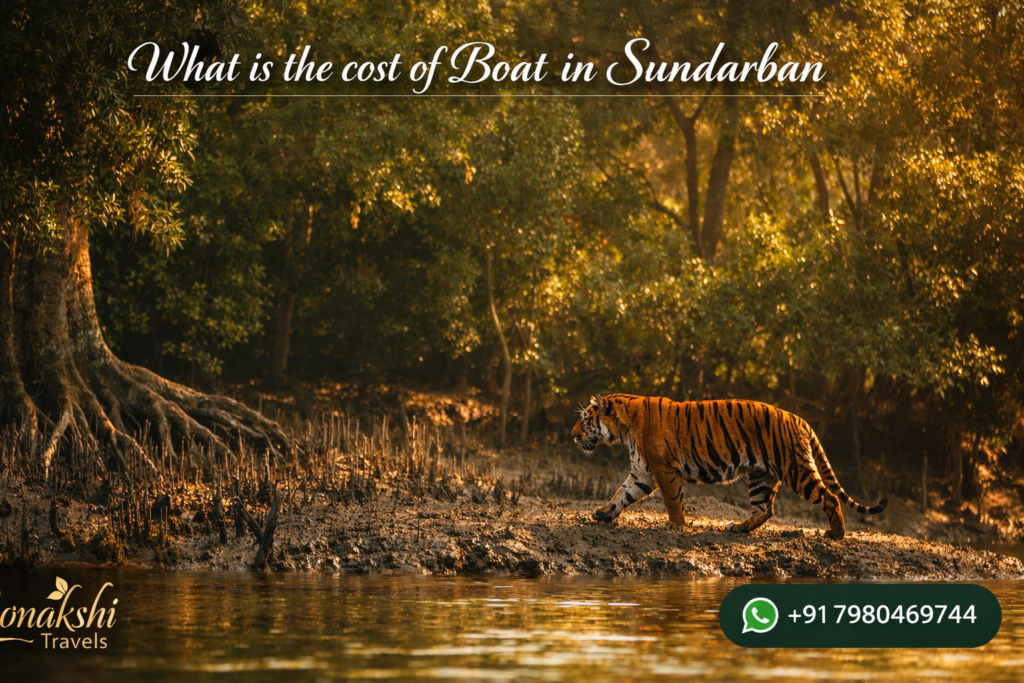 What is the cost of Boat in Sundarban