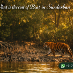 What is the cost of Boat in Sundarban
