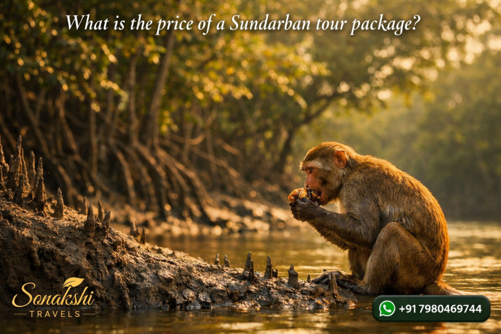 What is the price of a Sundarban tour package