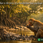 What is the price of a Sundarban tour package
