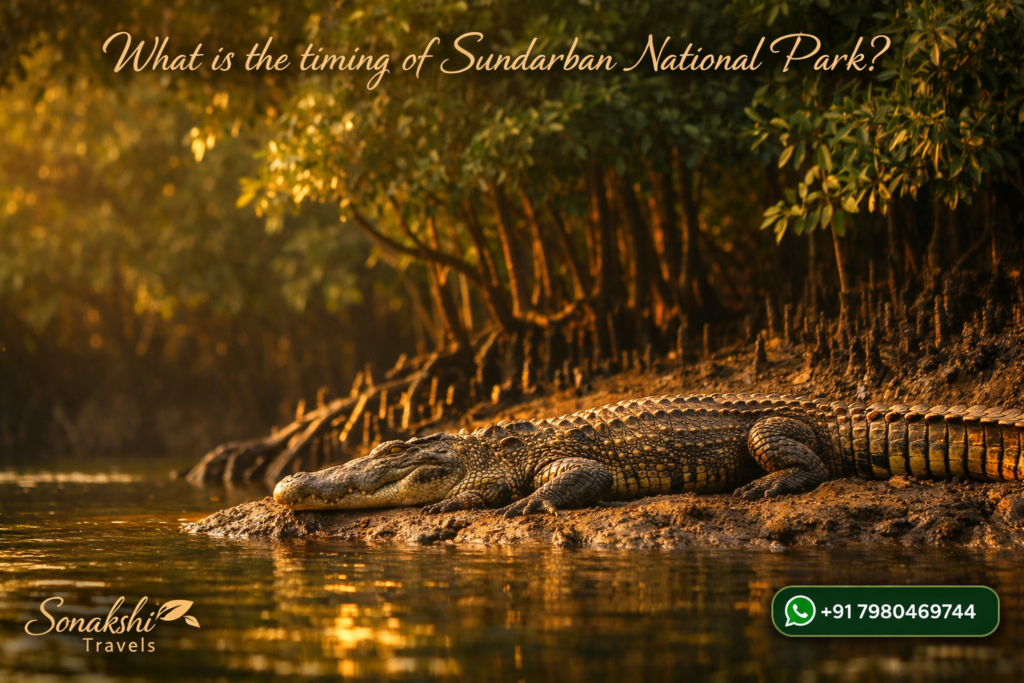What is the timing of Sundarban National Park?